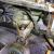 Dodge : Coronet 2 Dr A/FX Altered Wheel Base Post Car