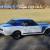 Ford : Mustang Shelby GT 500 GT/CS EXP 500 64 65 66 67 68 69 70