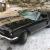 Ford : Mustang gt350H