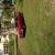 Ford : Mustang 2 door