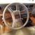 Lincoln : Town Car Cartier
