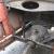 Ford : Other 5 Window Coupe