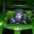 Chevrolet : Camaro 2 door