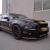Ford : Mustang SHELBY GT500 50TH ANNIVERSARY EDITION. 800 HORSE
