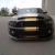 Ford : Mustang SHELBY GT500 50TH ANNIVERSARY EDITION. 800 HORSE
