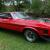 1971 Ford Mustang Mach 1 in Ashmore, QLD