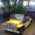 Leyland Moke 1971 in Ashgrove, QLD