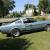 Ford : Mustang FASTBACK GT 350 CLONE