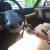 Alfa Romeo : Spider Commemorative Edition