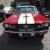 Ford : Mustang V8 Shelby Clone