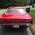 Ford : Mustang Coupe