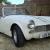 MG/ MGF Midget