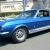 Ford : Mustang GT500 Tribute