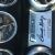 Ford : Mustang GT 500 Shelby