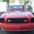 Ford : Mustang king cobra