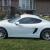 Porsche : Cayman Base Coupe 2-Door