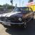 Ford Mustang 1965 2D Hardtop Automatic 4 7L Carb NO Reserve in NSW