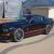 Ford : Mustang GT500 Super Snake clone new dyno 767 HP