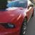 Ford : Mustang Shelby