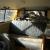 Kombi'S X 2 VW in SA