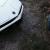 Chevrolet: Corvette L48