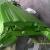 Ford: Falcon hot rod