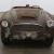 1958 Austin-Healey BN4