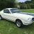 1965 Mustang fastback Shelby GT350 replica