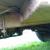 1958 Willys Hotchkiss Jeep M201 24v French registered - Amazing condition LHD
