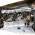 AC Cars 16/80 Competition Sports 2 Seater