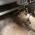 Austin A35 classic van restoration
