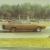 1969 Dodge Charger Hemi 500
