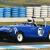 Buchanan Cobra 1959 Race CAR in VIC