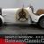 1938 Bugatti Tribute