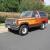 1981 Ford Bronco Trailer Special with Chromatic (Reflective) stripe