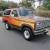 1981 Ford Bronco Trailer Special with Chromatic (Reflective) stripe