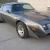 1979 Pontiac Trans Am
