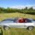 mustang GT500SR Shelby convertible eleanor clone