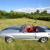 mustang GT500SR Shelby convertible eleanor clone