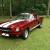 1966 Ford Mustang ---