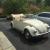 1970 Volkswagen Beetle - Classic bug
