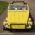 1974 Volkswagen Thing