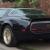 1979 Pontiac Trans Am