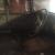 1963 Humber Super Snipe Project CAR AND Parts in VIC