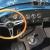 1964 Shelby Cobra FIA