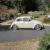1966 Volkswagen Beetle - Classic