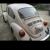 VW Super Beetle