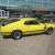 1970 Ford Mustang Mach I / Boss 302