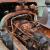 1955 White COE cabover engine truck, chassis cab