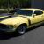 1970 Ford Mustang 1970 Boss 302 Highly Optioned *Rare* W-code 4.30